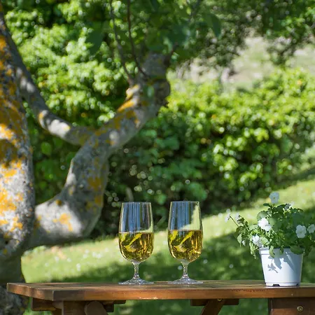 Villa Bruna Montefeltro, Indipendente Circondata Da Un Grande Giardino Perticara